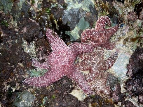 5961  Nugget  , Huntington Beach, CA