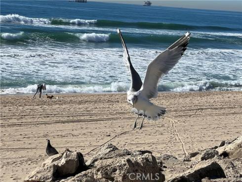 19861  Keswick  , Huntington Beach, CA