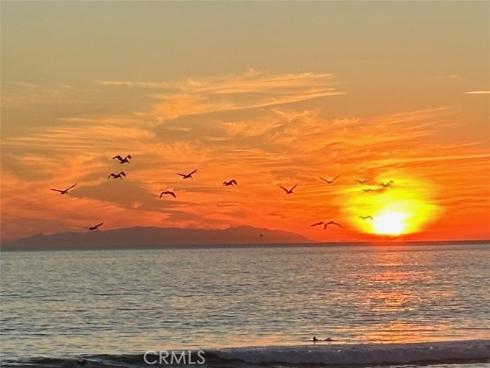 1200  Pacific Coast  426 , Huntington Beach, CA