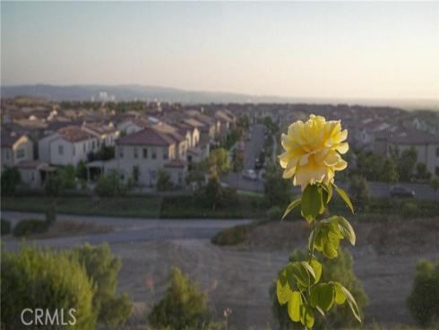 105  Trumpet Flower  , Irvine, CA