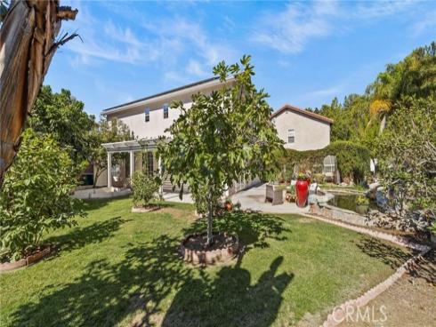 6  Henna  , Irvine, CA