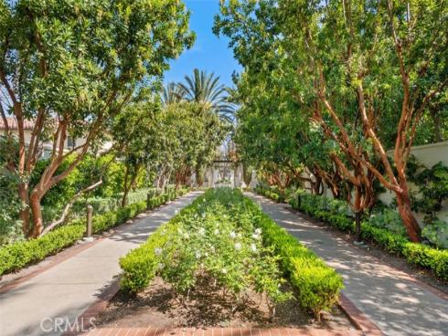 81  Splendor  , Irvine, CA