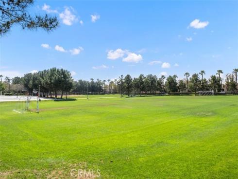 81  Splendor  , Irvine, CA