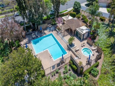 7  Lemon Tree  , Irvine, CA