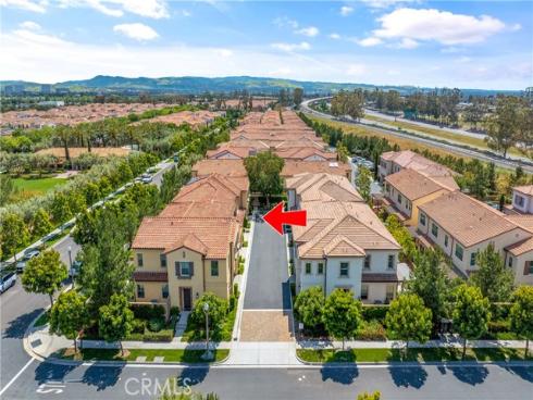 125 Annuals , Irvine, CA