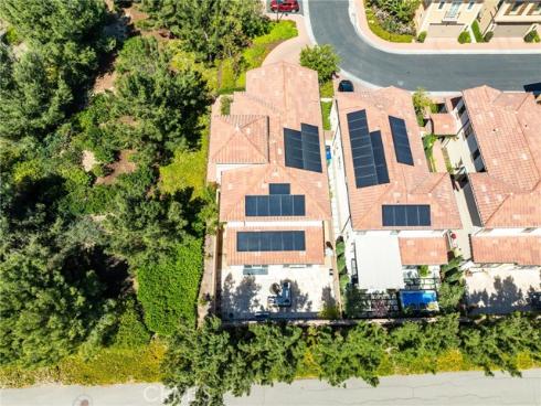 64  Painted Cameo  , Irvine, CA