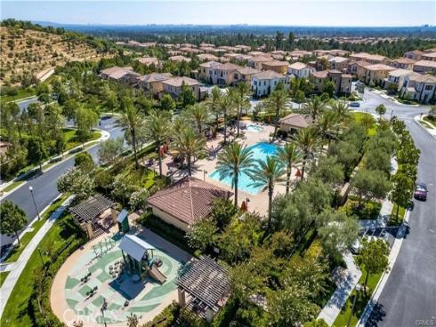 64  Painted Cameo  , Irvine, CA