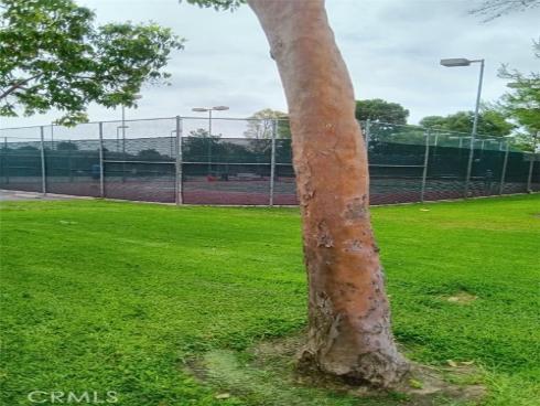 18 Goldenbush , Irvine, CA