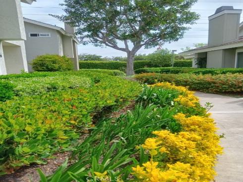 18 Goldenbush , Irvine, CA