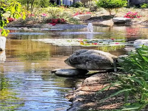 77 Lakepines , Irvine, CA