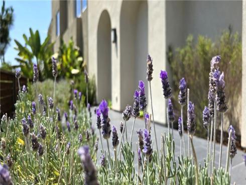 610  Cultivate  , Irvine, CA