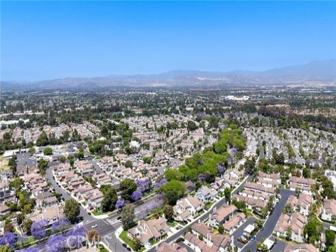 226  Greenmoor  95 , Irvine, CA