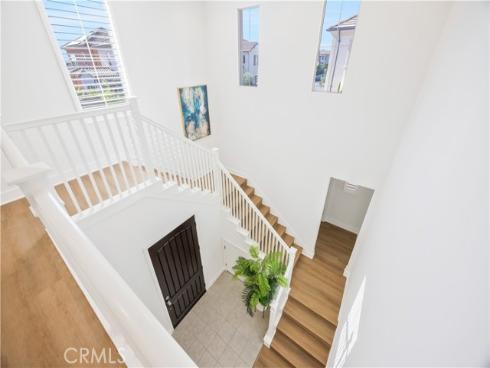 130  Spotted Quail  , Irvine, CA