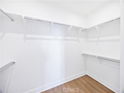 130  Spotted Quail  , Irvine, CA