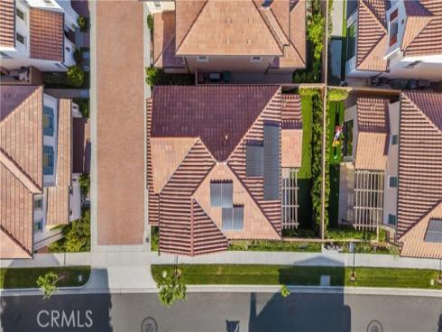 130  Spotted Quail  , Irvine, CA