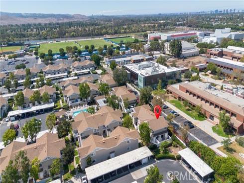 69  Tarocco  , Irvine, CA