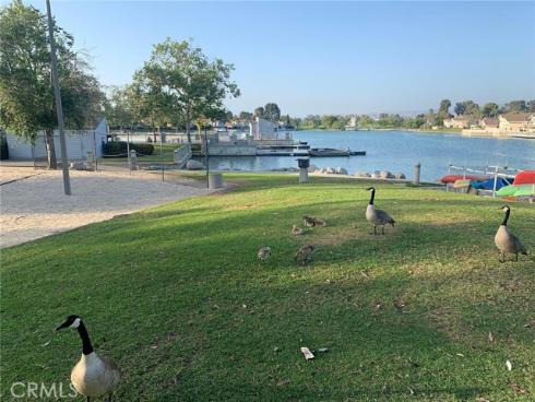 49  Thicket  36 , Irvine, CA