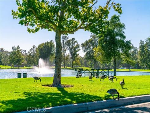 18  Solana  , Irvine, CA