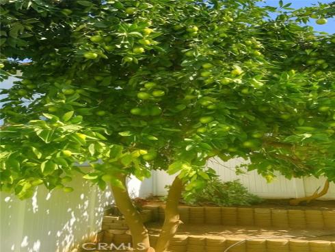 14112  Picasso   Court, Irvine, CA