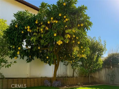 14112  Picasso   Court, Irvine, CA