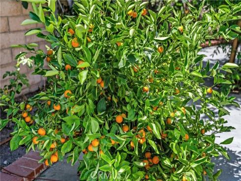 30  Entrada  , Irvine, CA