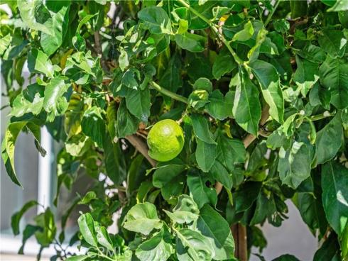 30 Entrada , Irvine, CA