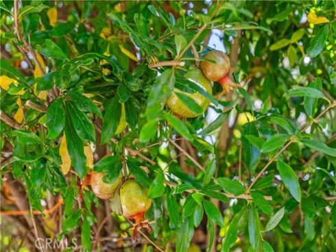 30 Entrada , Irvine, CA