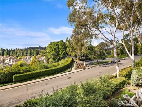 16  Morning Glory  , Irvine, CA