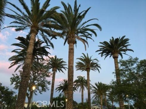 129  Cadence  , Irvine, CA