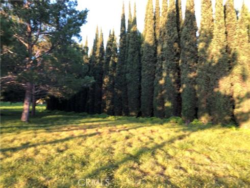 122  Vintage  20 , Irvine, CA