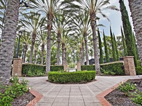 50  Hedge Bloom  , Irvine, CA