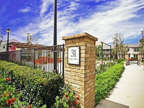 50  Hedge Bloom  , Irvine, CA