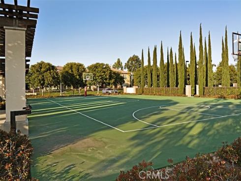 50  Hedge Bloom  , Irvine, CA