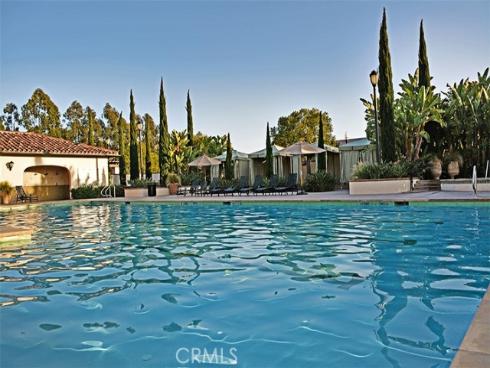 50  Hedge Bloom  , Irvine, CA