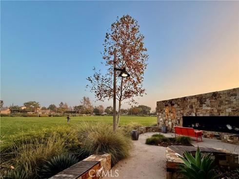 143  Allium  , Irvine, CA