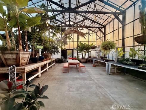 143  Allium  , Irvine, CA