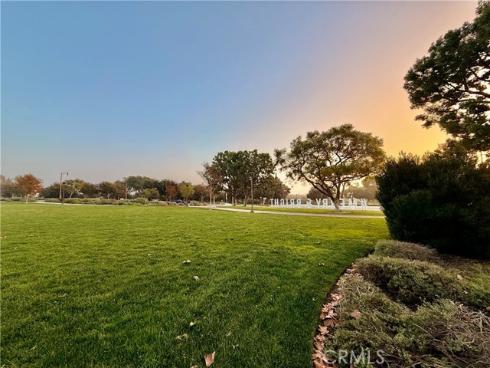 143  Allium  , Irvine, CA