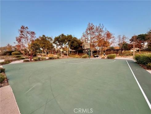 143  Allium  , Irvine, CA