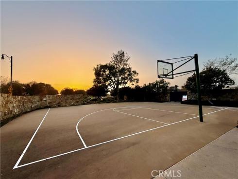 143  Allium  , Irvine, CA