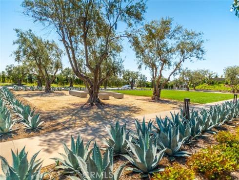 53 Chasma , Irvine, CA