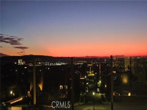 137  Trumpet Flower  , Irvine, CA