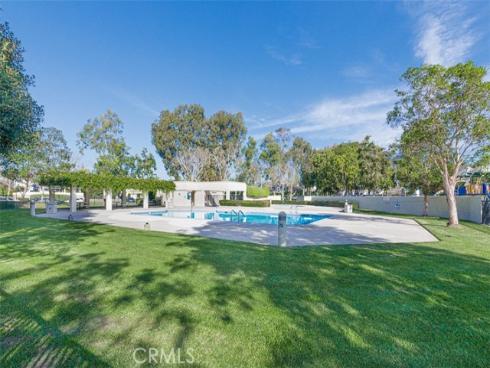 12  Thicket # 67  , Irvine, CA