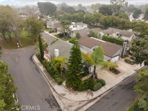 6  Banyan Tree  , Irvine, CA