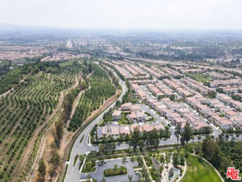 55  Suede  , Irvine, CA