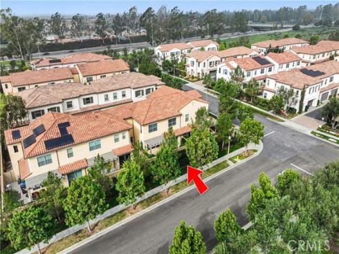 127  Annuals  , Irvine, CA