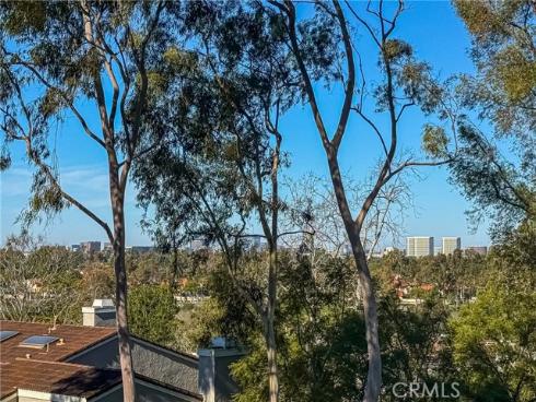 1 Falling Leaf , Irvine, CA