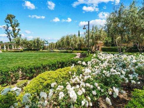 68  Island Coral  , Irvine, CA