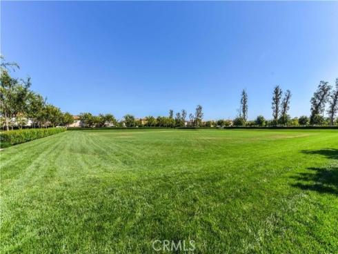 148  Velvet Flower  , Irvine, CA