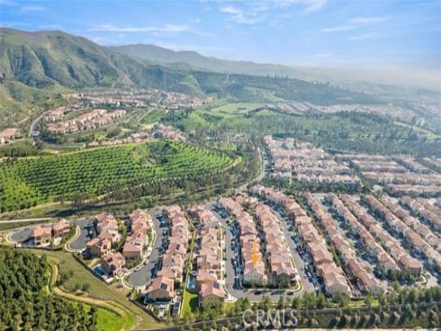 66  Poncho  , Irvine, CA