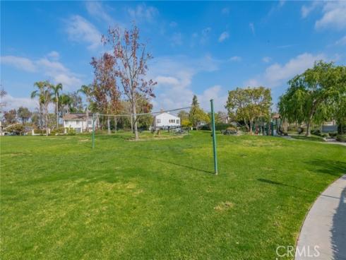 17682  Cassia Tree  , Irvine, CA